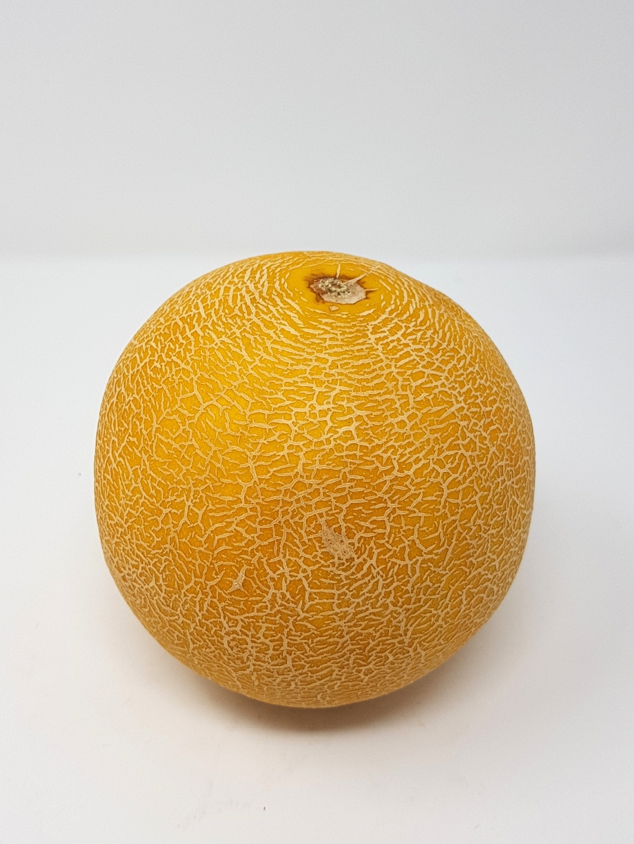 Wiesenland Obst und Gemüse Produktdetail Melone Galia BRAS